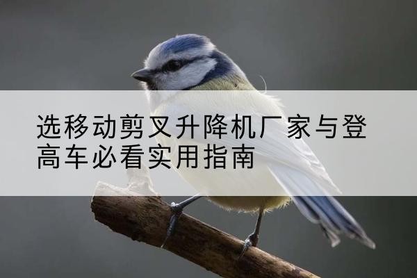 集安电动升降机厂家-选移动剪叉升降机厂家与登高车必看实用指南