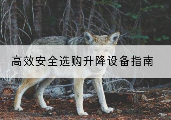 集安升降货梯厂家推荐-*安全选购升降设备指南